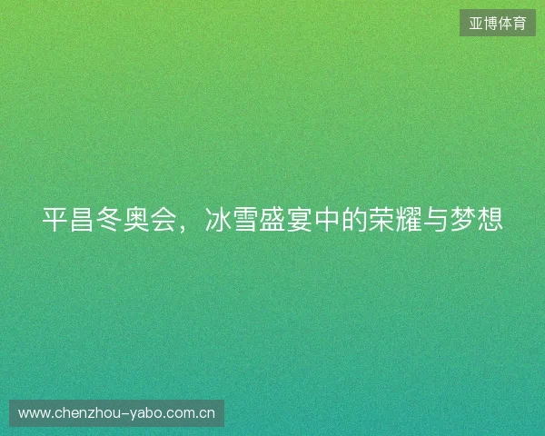 平昌冬奥会，冰雪盛宴中的荣耀与梦想